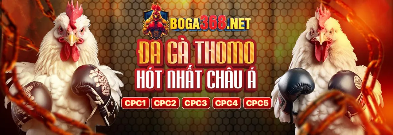 Nền tảng cá cược đá gà nw88 xổ số bảo mật và uy tín